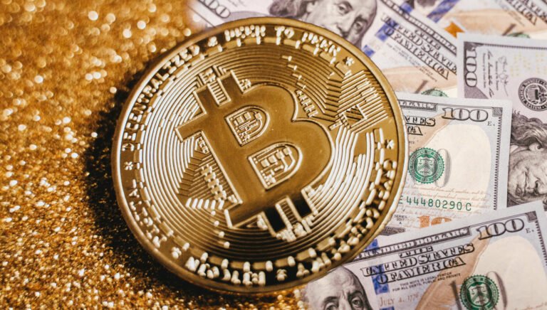 100 dollars in bitcoin per month: how much would it be worth since 2020