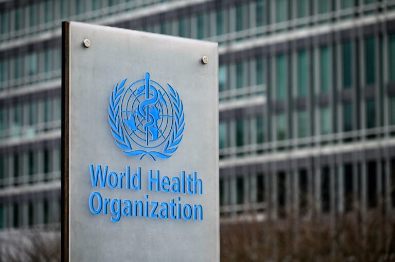 What is the World Health Organization: a deep dive into its role, funding, and impact